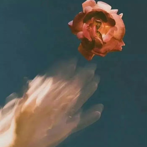 Angelina无码版流出
